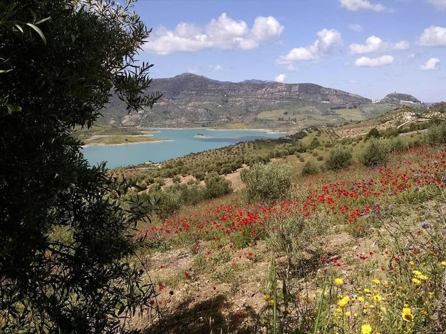 Casa De Las Flores - A Picture Perfect Location! El Gastor Εξωτερικό φωτογραφία