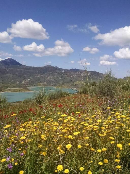 Casa De Las Flores - A Picture Perfect Location! El Gastor Εξωτερικό φωτογραφία