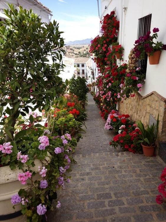 Casa De Las Flores - A Picture Perfect Location! El Gastor Εξωτερικό φωτογραφία