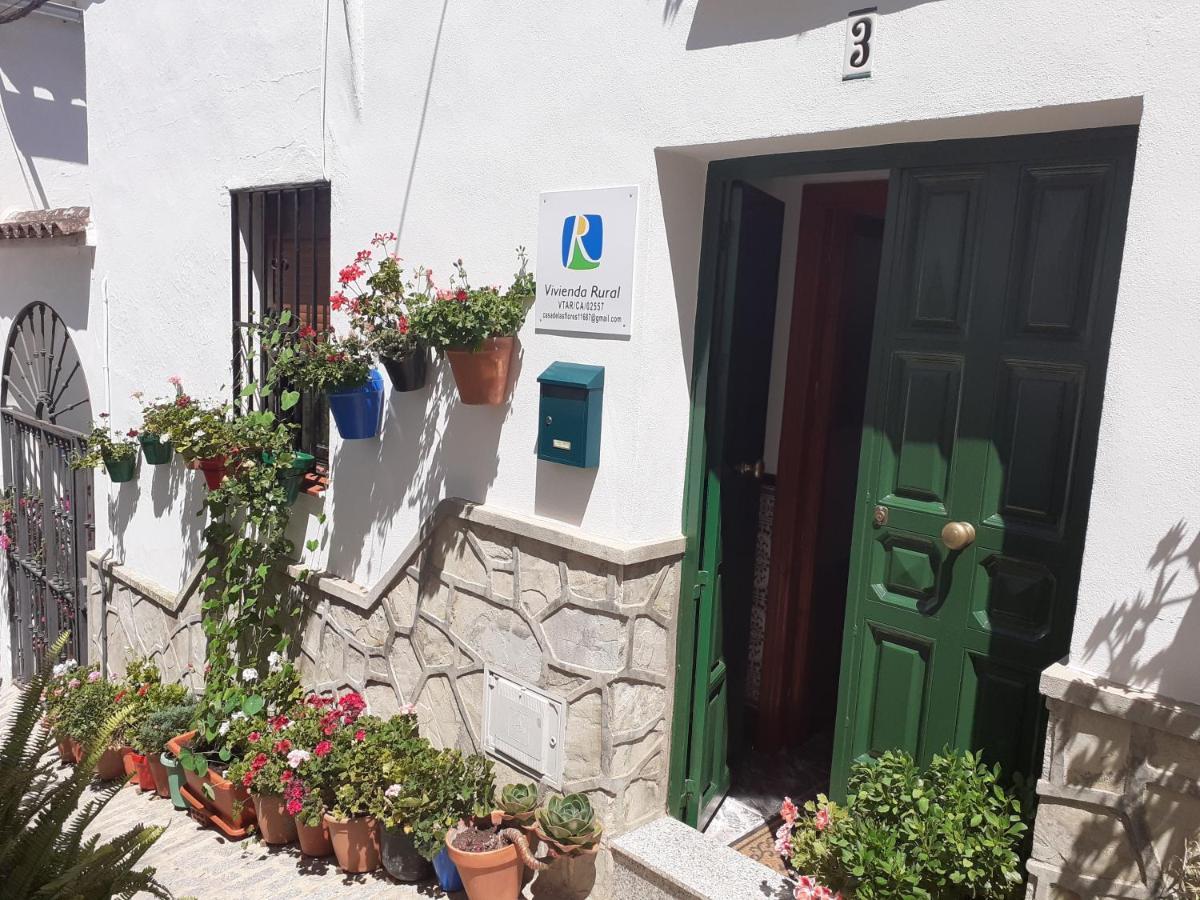 Casa De Las Flores - A Picture Perfect Location! El Gastor Εξωτερικό φωτογραφία