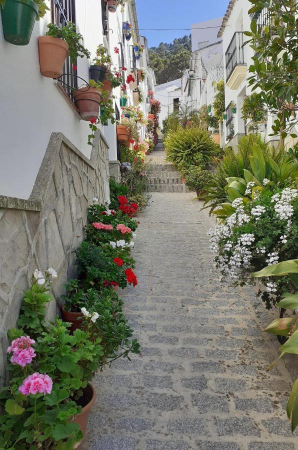 Casa De Las Flores - A Picture Perfect Location! El Gastor Εξωτερικό φωτογραφία