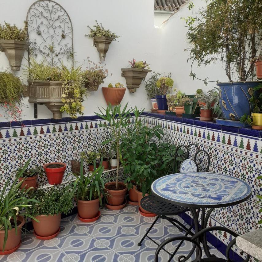Casa De Las Flores - A Picture Perfect Location! El Gastor Εξωτερικό φωτογραφία