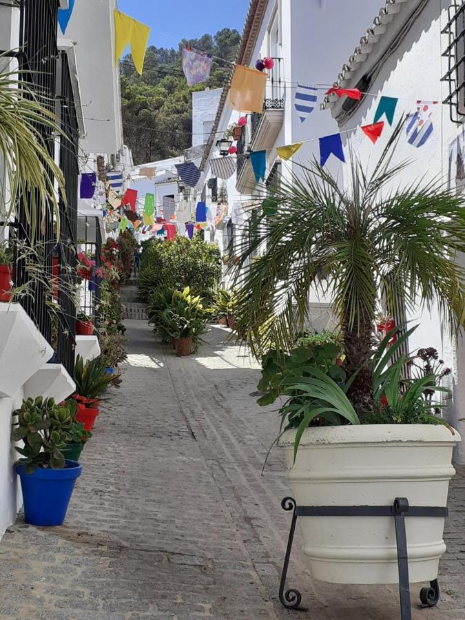 Casa De Las Flores - A Picture Perfect Location! El Gastor Εξωτερικό φωτογραφία