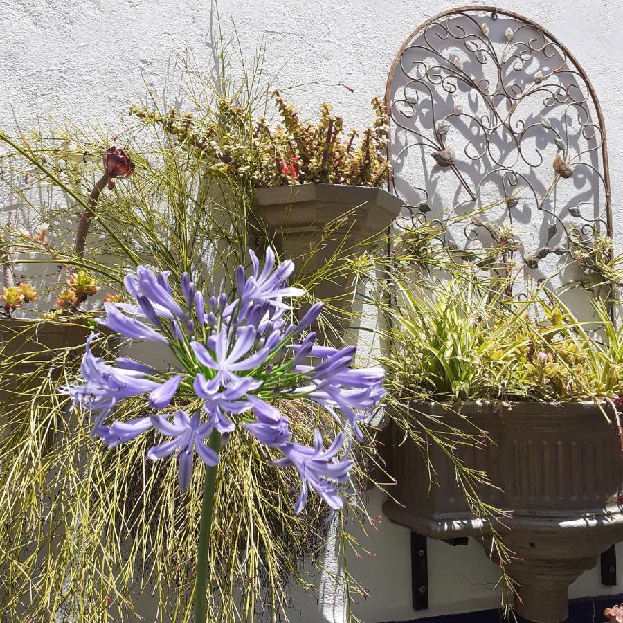 Casa De Las Flores - A Picture Perfect Location! El Gastor Εξωτερικό φωτογραφία