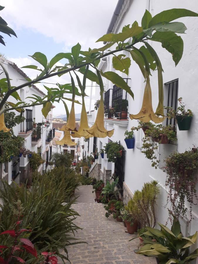 Casa De Las Flores - A Picture Perfect Location! El Gastor Εξωτερικό φωτογραφία