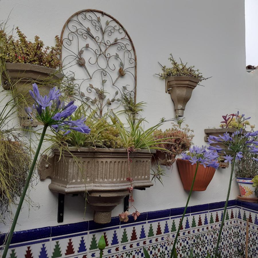 Casa De Las Flores - A Picture Perfect Location! El Gastor Εξωτερικό φωτογραφία