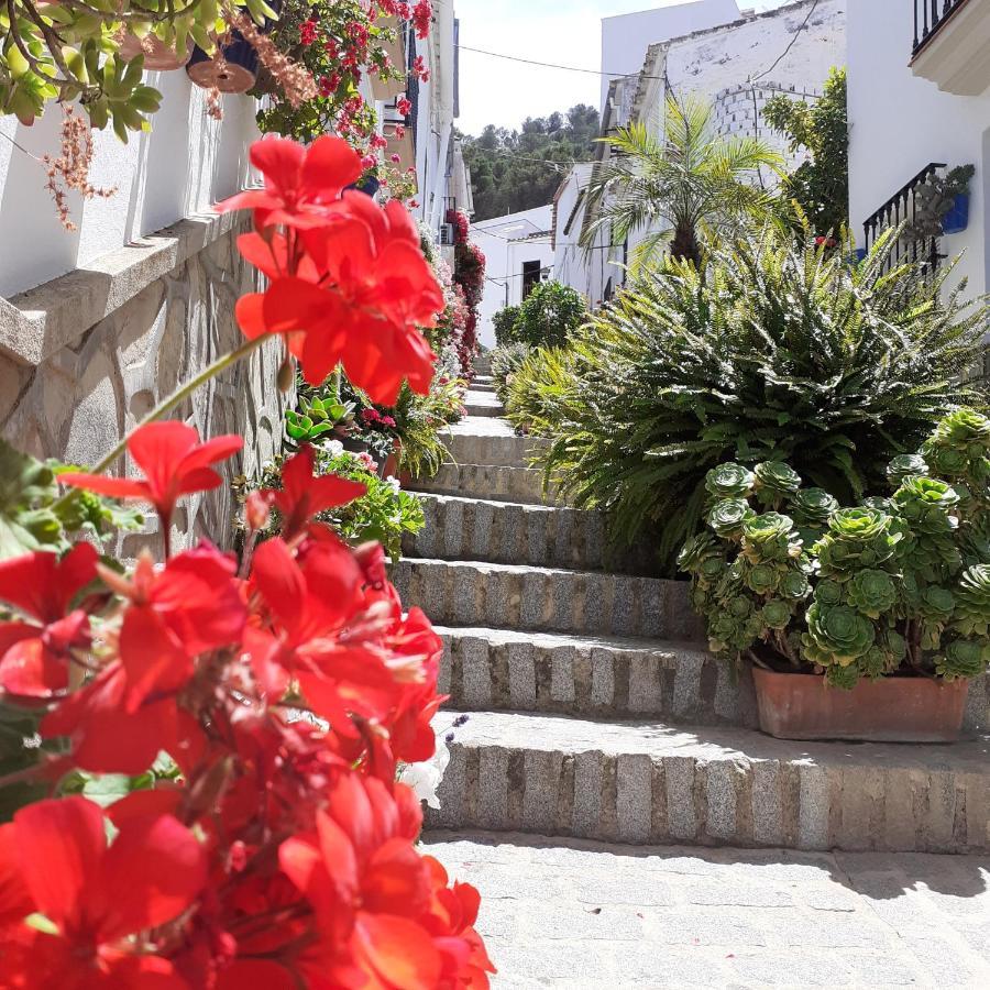 Casa De Las Flores - A Picture Perfect Location! El Gastor Εξωτερικό φωτογραφία